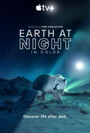 Série Noite na Terra em Cores - 1ª Temporada Completa Legendada Torrent