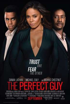Filme O Cara Perfeito - The Perfect Guy Torrent