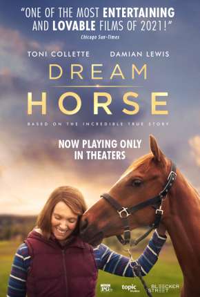 Filme O Cavalo dos Meus Sonhos Download Filme O Cavalo dos Meus Sonhos Torrent