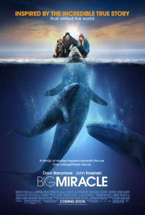 Filme O Grande Milagre - Big Miracle Torrent