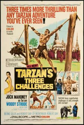 Filme Os Três Desafios De Tarzan Torrent