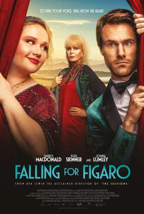 Filme Procurando Fígaro Torrent