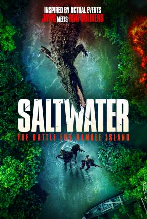 Filme Saltwater - The Battle for Ramree Island - Legendado Download Filme Saltwater - The Battle for Ramree Island - Legendado Torrent
