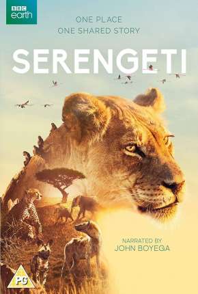 Série Serengeti - 2ª Temporada Completa Legendada Torrent