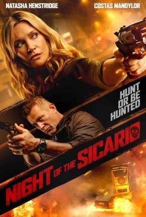 Filme Sicario - Perigo no Abrigo Torrent