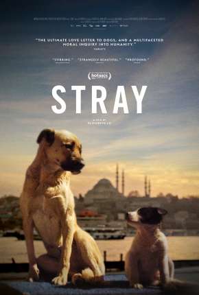 Filme Stray - 2021 Legendado Torrent