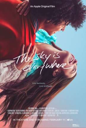 Filme The Sky Is Everywhere - Legendado Torrent