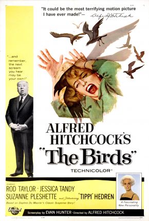 Filme Os Pássaros / The Birds Torrent