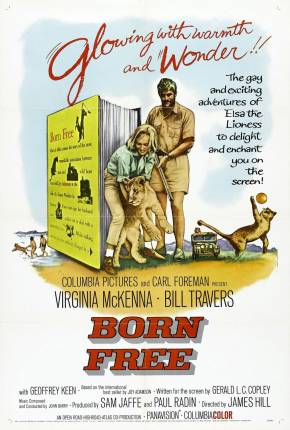 Filme A História de Elsa Torrent