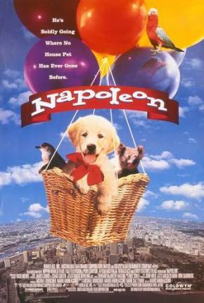 Filme Napoleon, as Aventuras de um Cãozinho Valente Torrent