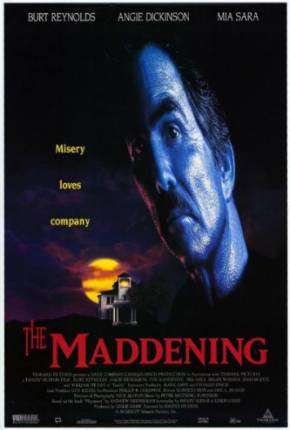 Filme No Limite da Loucura Torrent