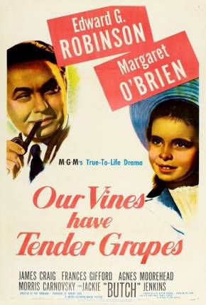 Filme O Roseiral da Vida / Our Vines Have Tender Grapes Torrent