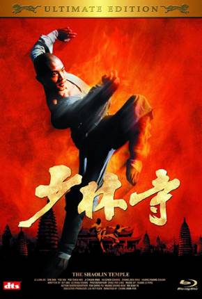 Filme O Templo de Shaolin - Os Herdeiros de Shaolin / O Templo dos Campeões Torrent
