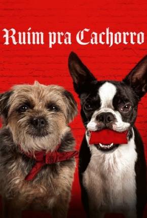 Filme Ruim Pra Cachorro Torrent