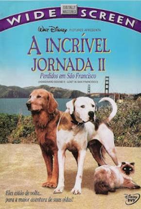 Filme A Incrível Jornada 2 - Perdidos em São Francisco Torrent