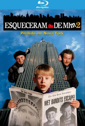Filme Esqueceram de Mim 2 - Perdido em Nova York BluRay Torrent