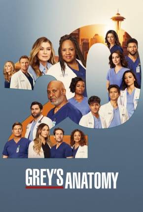 Série Anatomia de Grey - 20ª Temporada Legendada Torrent