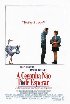 Filme A Cegonha Não Pode Esperar / Mais ou Menos Grávida Torrent