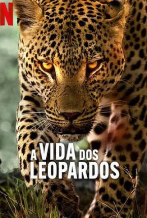 Filme A Vida dos Leopardos Torrent