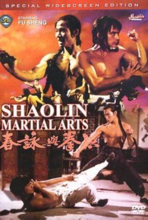 Filme As Artes Marciais de Shaolin / Hong quan yu yong chun Torrent