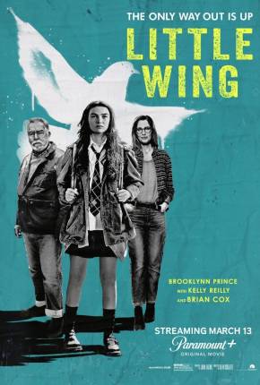 Filme Little Wing Torrent