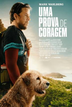 Filme Uma Prova de Coragem Torrent