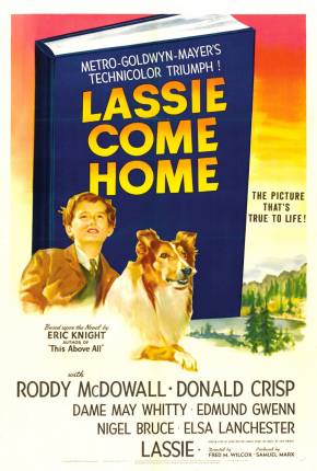 Filme Lassie - A Força do Coração Torrent