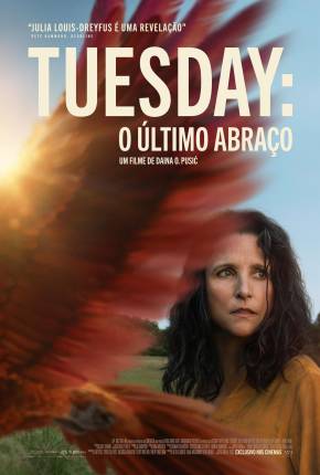 Filme Tuesday - O Último Abraço - CAM - Legendado e Dublado Não Oficial Torrent