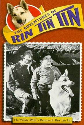 Série As Aventuras de Rin Tin Tin - 1ª Temporada Torrent